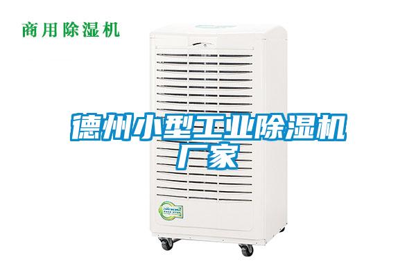 德州小型工業(yè)除濕機廠家