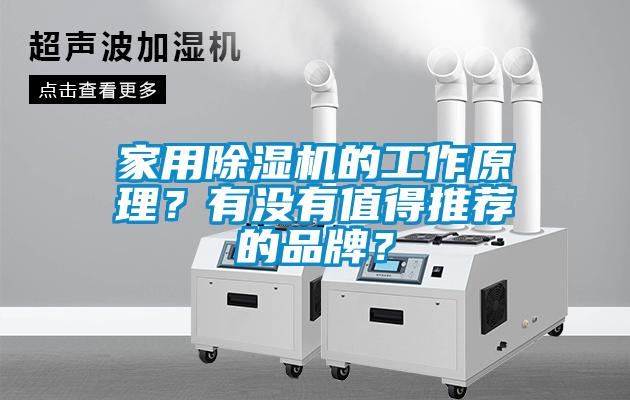 家用除濕機的工作原理？有沒有值得推薦的品牌？