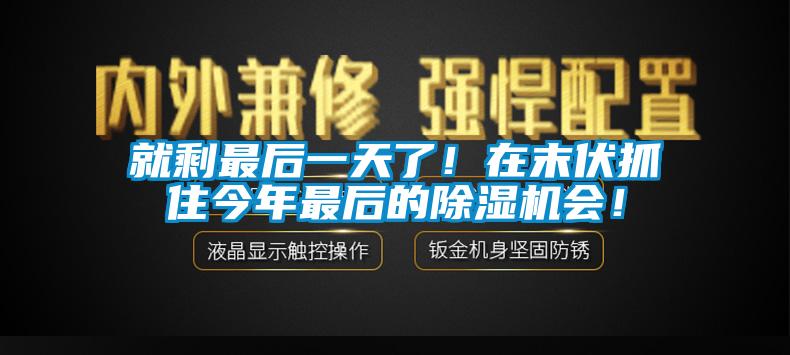 就剩最后一天了！在末伏抓住今年最后的除濕機會！