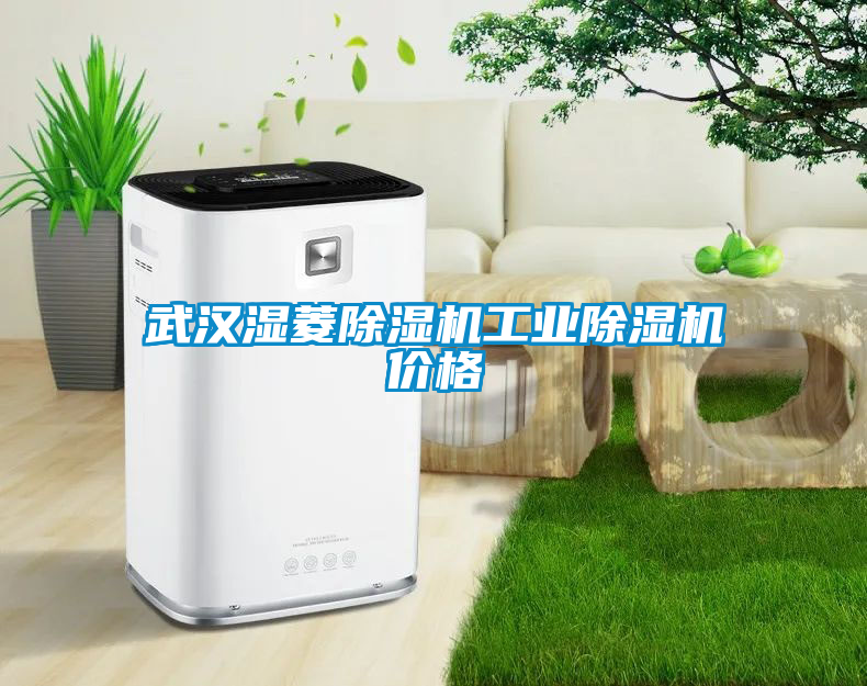 武漢濕菱除濕機(jī)工業(yè)除濕機(jī)價(jià)格