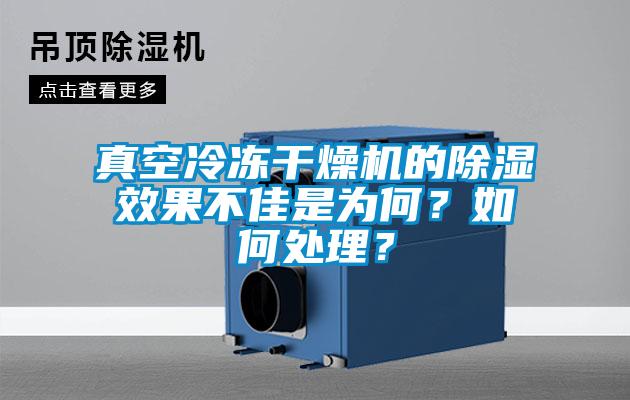 真空冷凍干燥機的除濕效果不佳是為何？如何處理？