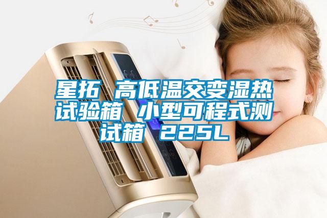 星拓 高低溫交變濕熱試驗(yàn)箱 小型可程式測(cè)試箱 225L