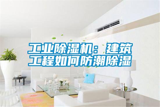 工業(yè)除濕機(jī)：建筑工程如何防潮除濕