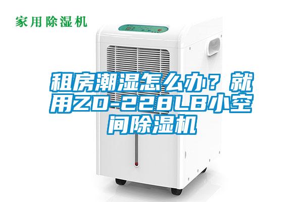 租房潮濕怎么辦？就用ZD-228LB小空間除濕機