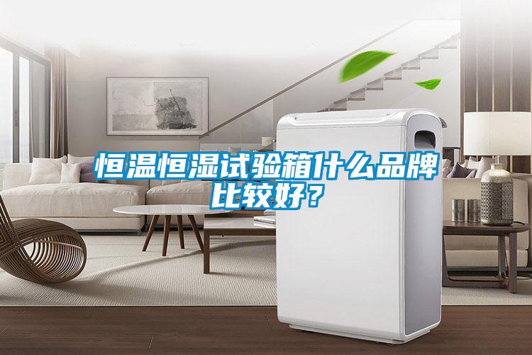 恒溫恒濕試驗(yàn)箱什么品牌比較好？