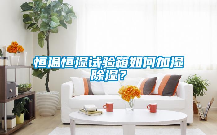 恒溫恒濕試驗箱如何加濕除濕？