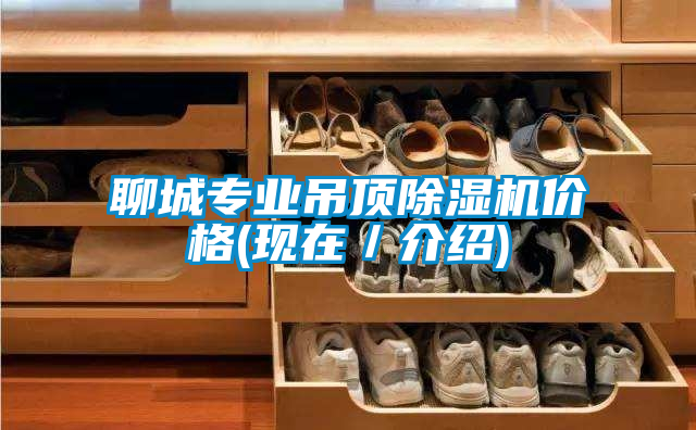 聊城專業(yè)吊頂除濕機(jī)價(jià)格(現(xiàn)在／介紹)