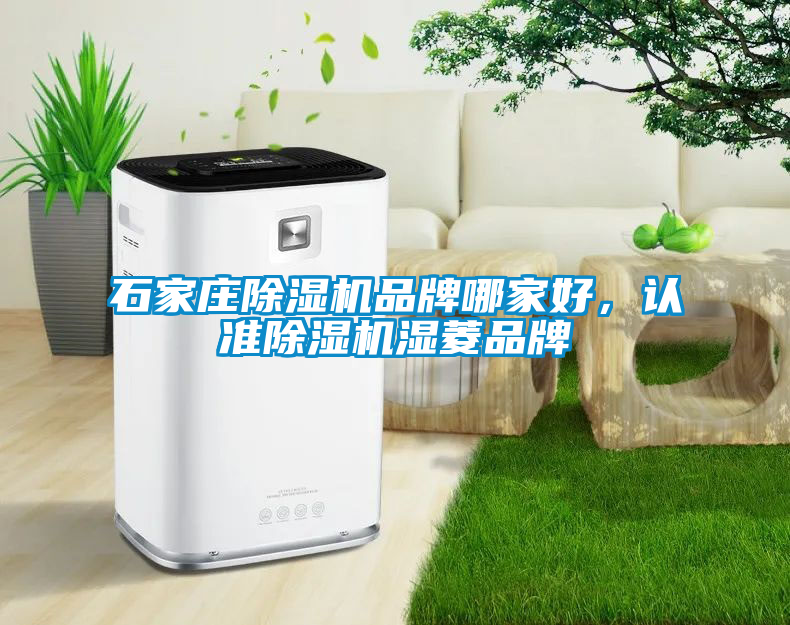 石家莊除濕機品牌哪家好，認準除濕機濕菱品牌