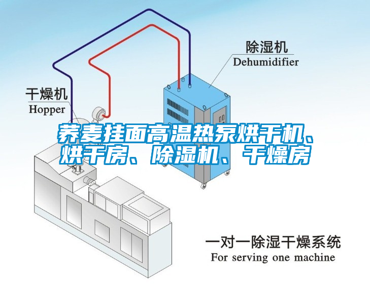 蕎麥掛面高溫熱泵烘干機、烘干房、除濕機、干燥房