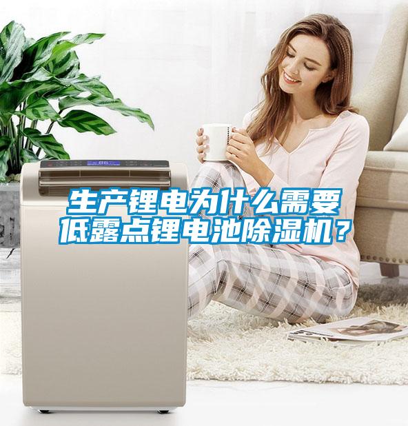 生產(chǎn)鋰電為什么需要低露點鋰電池除濕機？