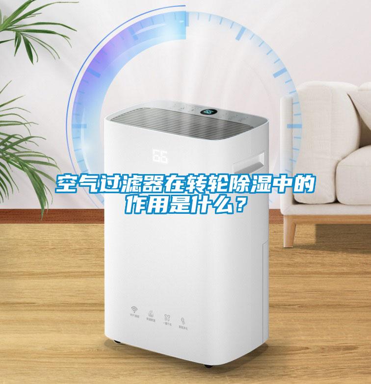 空氣過濾器在轉(zhuǎn)輪除濕中的作用是什么？