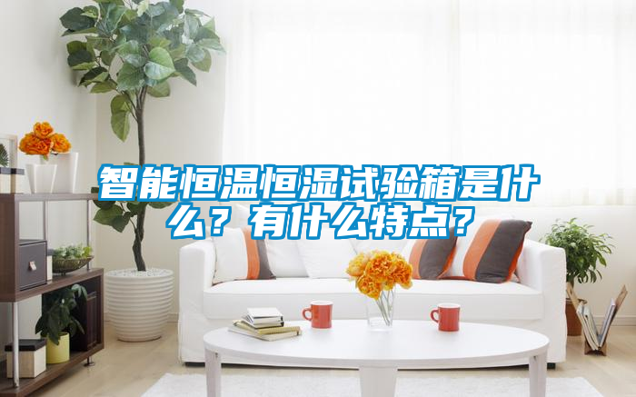 智能恒溫恒濕試驗(yàn)箱是什么？有什么特點(diǎn)？