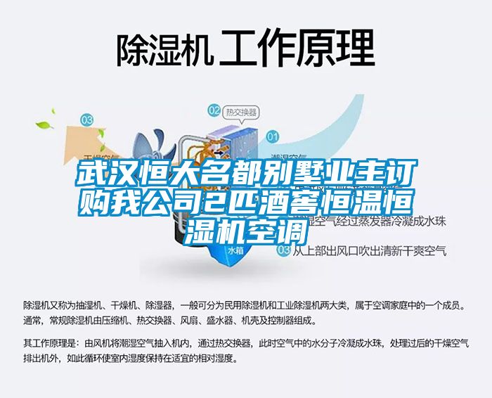 武漢恒大名都別墅業(yè)主訂購我公司2匹酒窖恒溫恒濕機空調(diào)