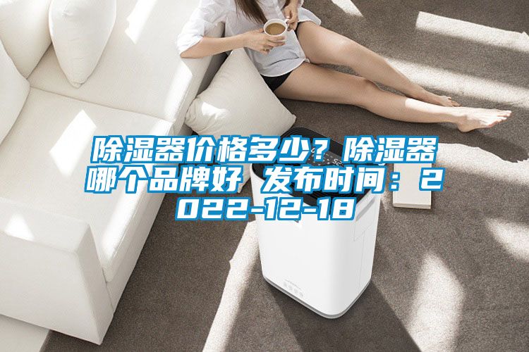 除濕器價(jià)格多少？除濕器哪個(gè)品牌好 發(fā)布時(shí)間：2022-12-18