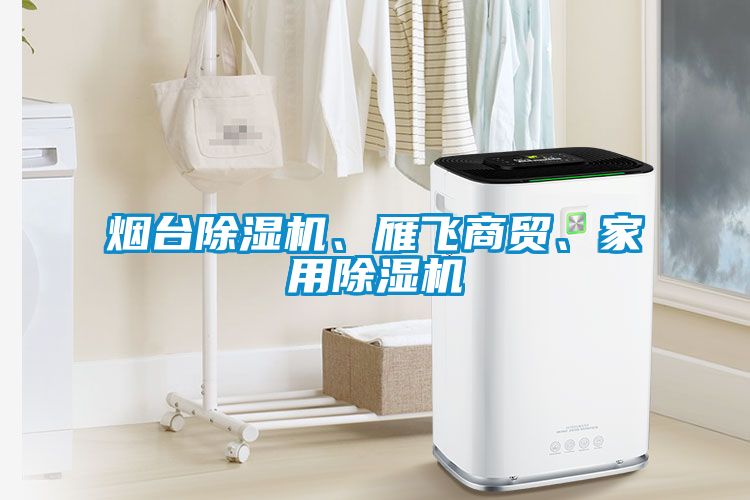 煙臺除濕機、雁飛商貿(mào)、家用除濕機