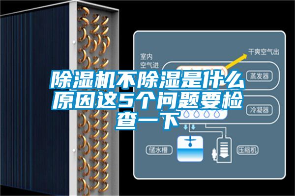 除濕機不除濕是什么原因這5個問題要檢查一下