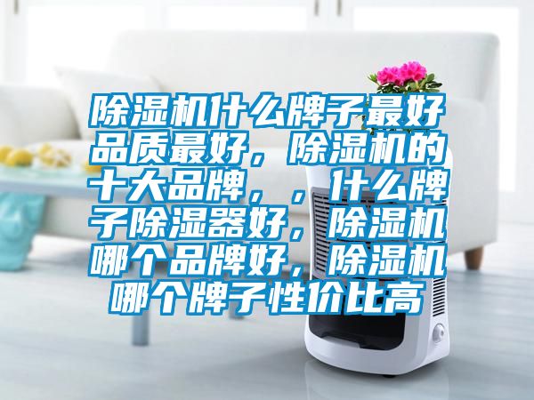 除濕機(jī)什么牌子最好品質(zhì)最好，除濕機(jī)的十大品牌，，什么牌子除濕器好，除濕機(jī)哪個(gè)品牌好，除濕機(jī)哪個(gè)牌子性價(jià)比高