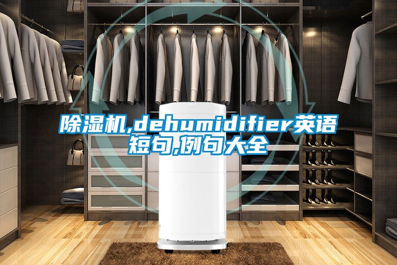 除濕機(jī),dehumidifier英語短句,例句大全