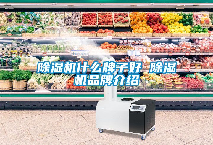 除濕機什么牌子好 除濕機品牌介紹