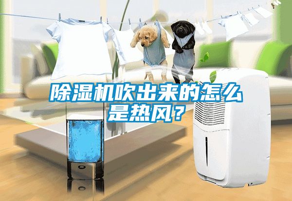 除濕機(jī)吹出來的怎么是熱風(fēng)？