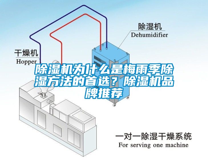 除濕機為什么是梅雨季除濕方法的首選？除濕機品牌推薦