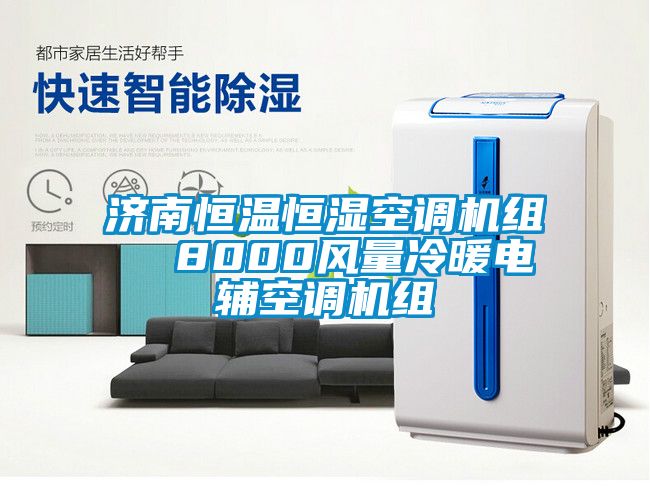 濟南恒溫恒濕空調機組  8000風量冷暖電輔空調機組