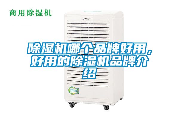 除濕機(jī)哪個(gè)品牌好用，好用的除濕機(jī)品牌介紹