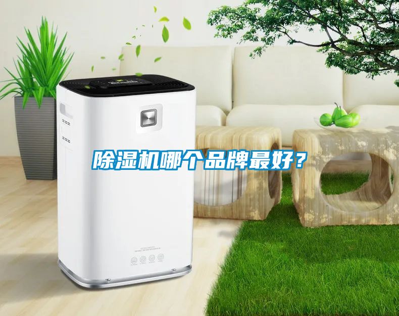 除濕機哪個品牌最好？