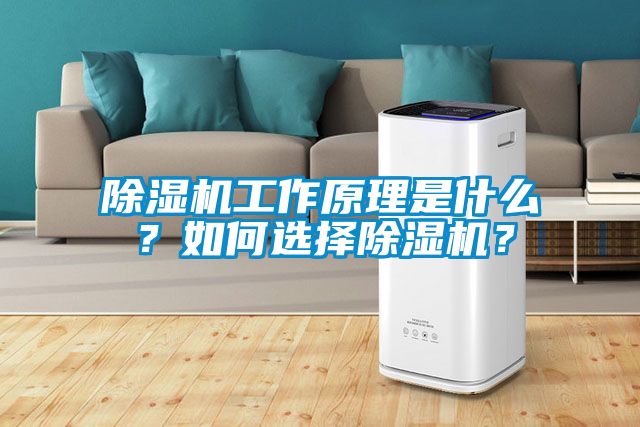 除濕機(jī)工作原理是什么？如何選擇除濕機(jī)？