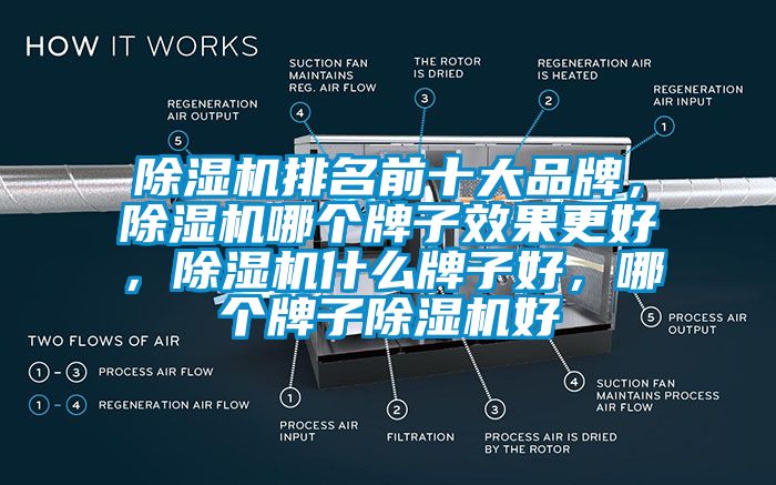 除濕機(jī)排名前十大品牌，除濕機(jī)哪個(gè)牌子效果更好，除濕機(jī)什么牌子好，哪個(gè)牌子除濕機(jī)好