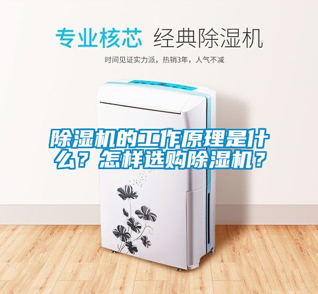 除濕機的工作原理是什么？怎樣選購除濕機？