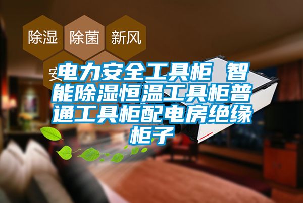 電力安全工具柜 智能除濕恒溫工具柜普通工具柜配電房絕緣柜子