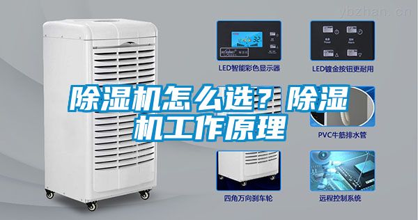 除濕機(jī)怎么選？除濕機(jī)工作原理