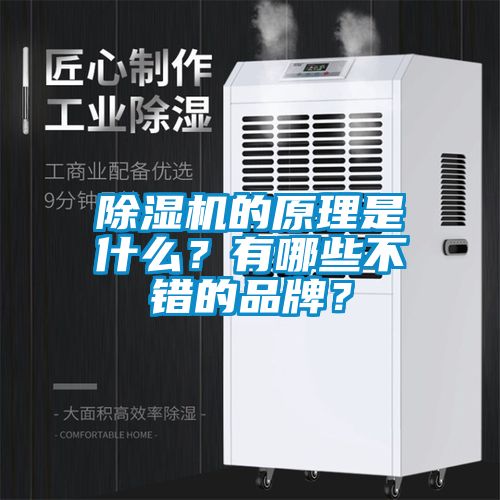 除濕機(jī)的原理是什么？有哪些不錯(cuò)的品牌？