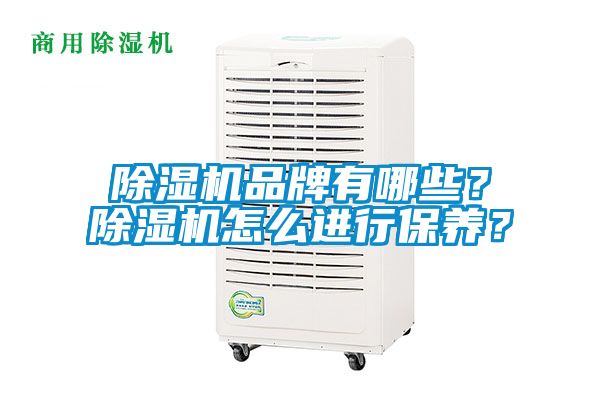 除濕機品牌有哪些？除濕機怎么進行保養(yǎng)？