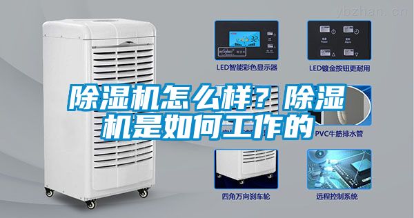 除濕機(jī)怎么樣？除濕機(jī)是如何工作的