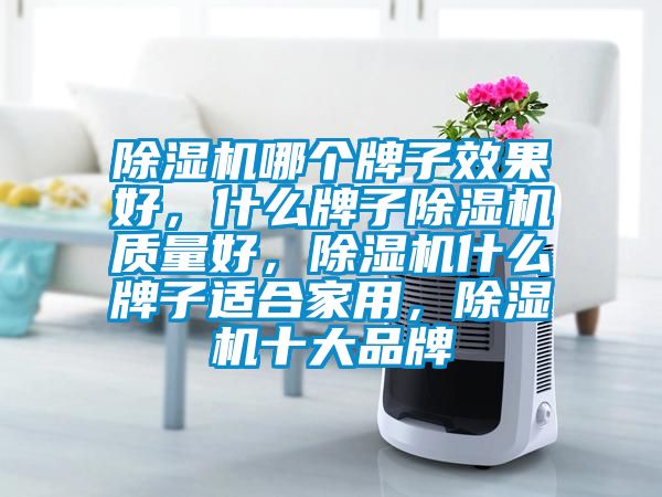 除濕機哪個牌子效果好，什么牌子除濕機質(zhì)量好，除濕機什么牌子適合家用，除濕機十大品牌