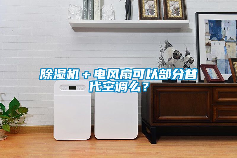 除濕機＋電風扇可以部分替代空調(diào)么？