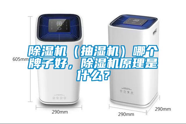 除濕機（抽濕機）哪個牌子好，除濕機原理是什么？