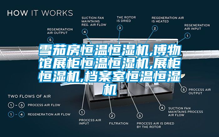 雪茄房恒溫恒濕機(jī),博物館展柜恒溫恒濕機(jī),展柜恒濕機(jī),檔案室恒溫恒濕機(jī)