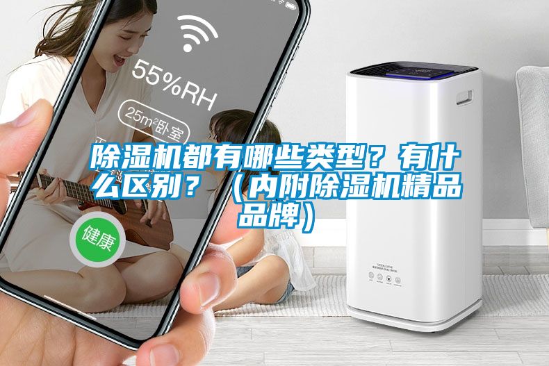 除濕機都有哪些類型？有什么區(qū)別？（內(nèi)附除濕機精品品牌）