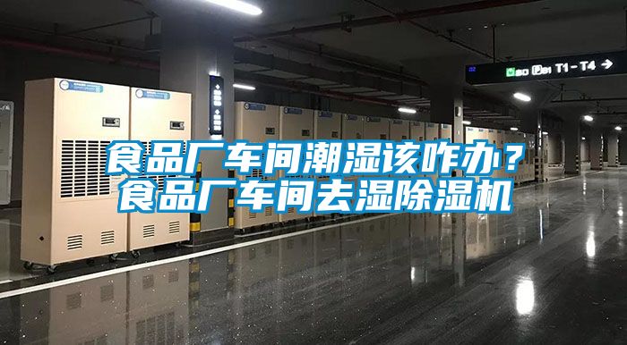 食品廠車間潮濕該咋辦？食品廠車間去濕除濕機